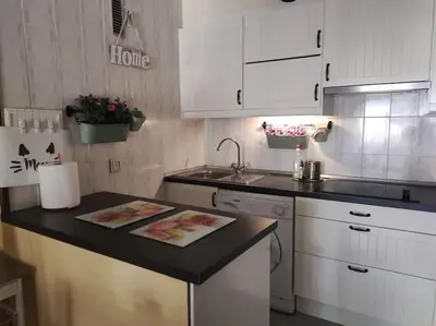 Una cocina o zona de cocina en Apartamento IZAS Canfranc