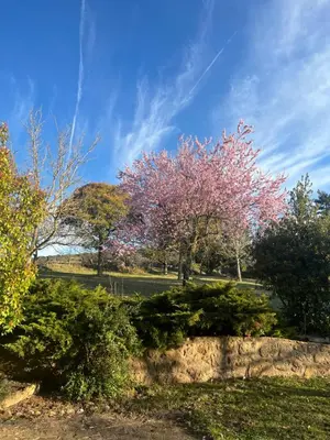 Paisaje cerca de este agroturismo