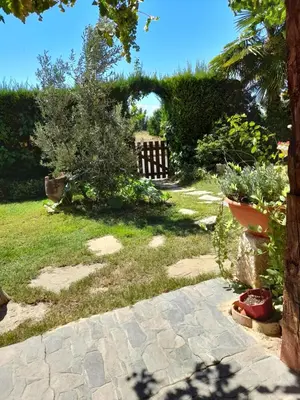 Jardín al aire libre en Casa Blanca