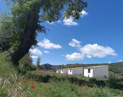 Paisaje cerca de esta casa o chalet