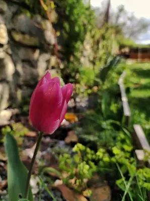 Jardín al aire libre en Habitaciones con encanto en Ilurdoz