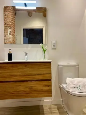 Un baño de Can Sole Rural