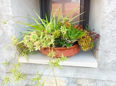 Jardín al aire libre en Cal Viudeta