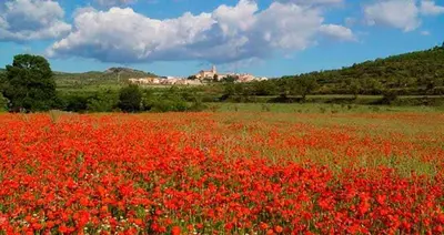 Paisaje cerca de este apartamento