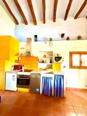 Una cocina o zona de cocina en Cal Capdevila Apartaments
