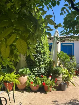 Jardín al aire libre en Casa Rural El Patio