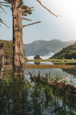 Paisaje cerca de este hostal o pensión