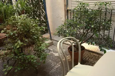Jardín al aire libre en Serendipia