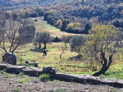 Paisaje cerca of this country house