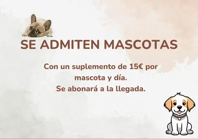 Mascotas con sus dueños en FANTASTICO - 75m - REFORMADO- VISTAS A LA MONTAÑA - Wifi - Acceso Trastero junto a Parking