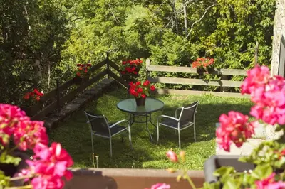 Jardín al aire libre en Apartamento con jardin en Gessa
