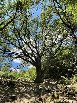 Paisaje cerca de este apartamento