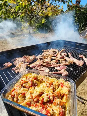 Barbacoa disponible para clientes en la casa o chalet