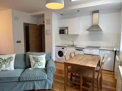 Una cocina o zona de cocina en Apartamentos Pirineo