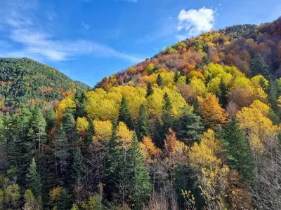 Paisaje cerca de este apartamento