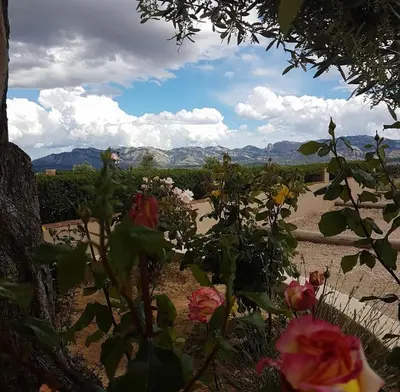 Paisaje cerca of this country house
