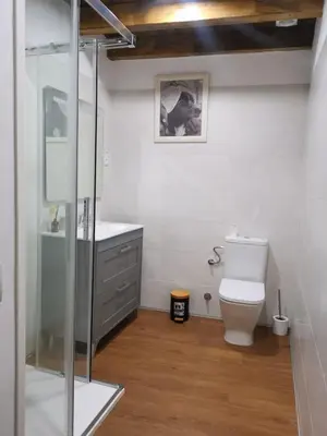 Un baño de Apartamentos El Plano