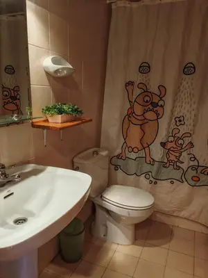 Un baño de Dúplex acogedor con chimenea cerca de Aigüestortes - Falcó 6