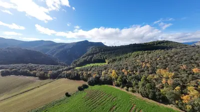 Paisaje cerca of this country house