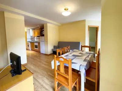 Una cocina o zona de cocina en Apartamentos Canfranc 3000