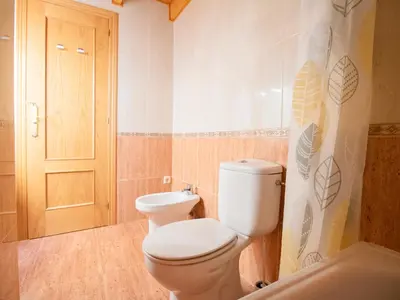 Un baño de Apartamentos Canfranc 3000