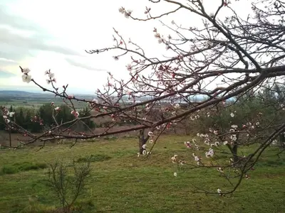 Paisaje cerca de esta villa