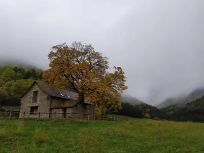 Paisaje cerca of this country house