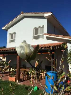 Edificio en el que se encuentra la casa o chalet