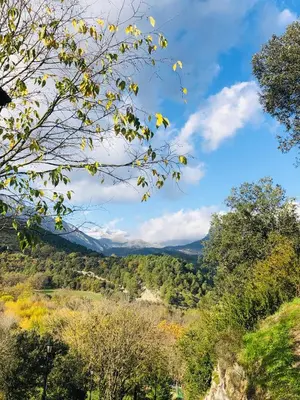 Paisaje cerca de este apartamento
