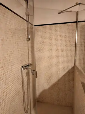 Un baño de Moixons