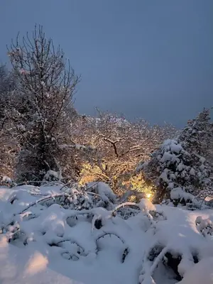Acogedor apartamento a las puertas de Ordesa en invierno