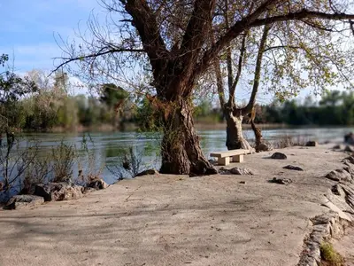 Vista de un río cerca de este apartamento