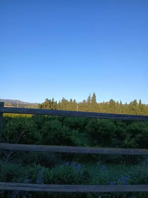 Paisaje cerca de este apartamento