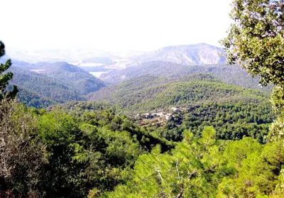 Paisaje cerca of this country house