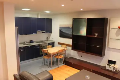 Una cocina o zona de cocina en Apartamentos Irati