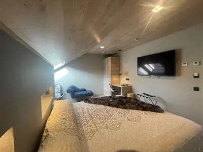 Una televisión o centro de entretenimiento en Hotel Vall d´Aneu