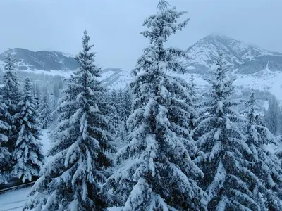 Hotel SNÖ Edelweiss en invierno