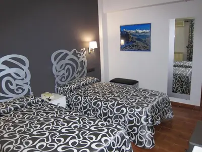 Cama o camas de una habitación en Hotel Meson de L’Ainsa