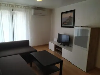 Una televisión o centro de entretenimiento en Apartamentos Turísticos Río Gallego (Apartamento Huesca)