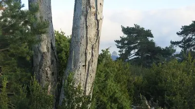 Paisaje cerca of this country house