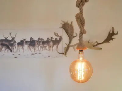 Animales en el apartamento o alrededores