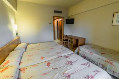 Cama o camas de una habitación en Hotel Alhama
