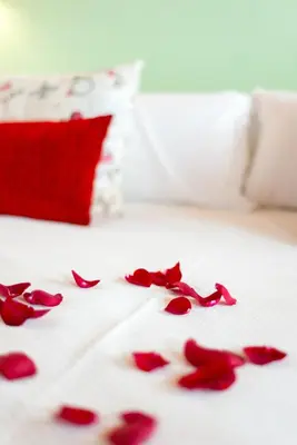 Cama o camas de una habitación en Hotel La Freixera