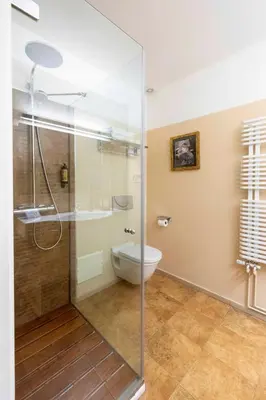 Un baño de Hotel La Freixera