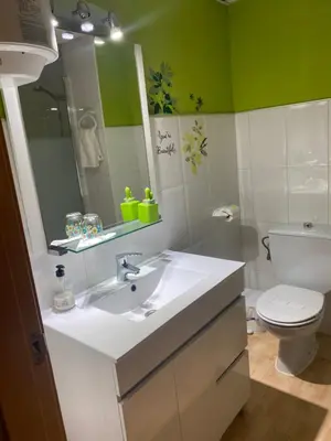Un baño de Apartamentos Alcañiz, Ana