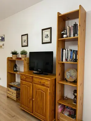 Una televisión o centro de entretenimiento en Acogedor Apartamento En Huesca