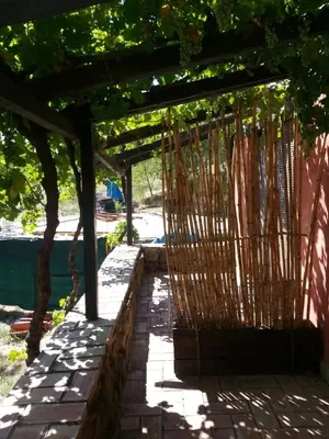 Jardín al aire libre en Hostal Rural Casa Pedro