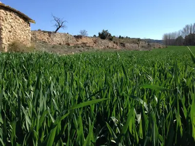 Paisaje cerca de este apartamento