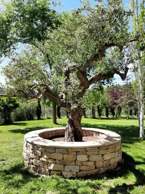 Jardín al aire libre en Villa Claudine