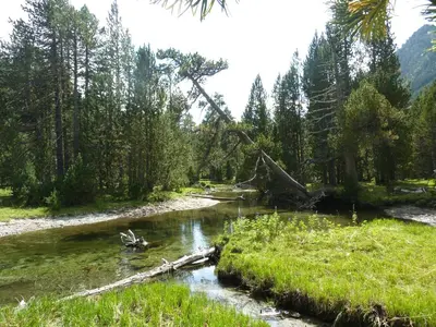 Paisaje cerca de este apartamento